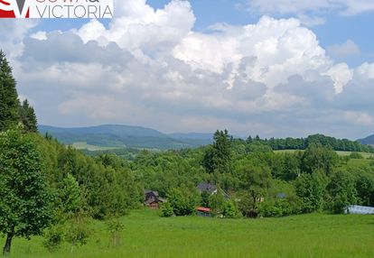 Widok na pasmo gór sowich ok 5 km od głuszycy