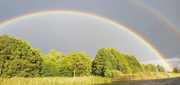 Urocza działka w pobliżu jeziora bielskiego