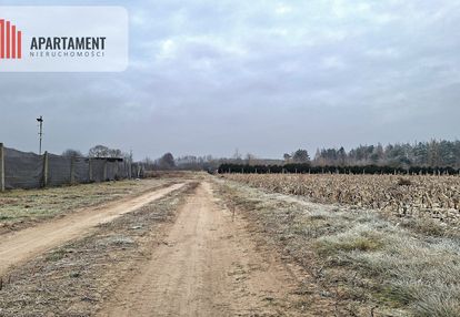 Duza działka pod dom i usługi – kolankowo