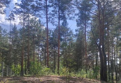 Działka dla miłośników natury i spokoju, radzymin