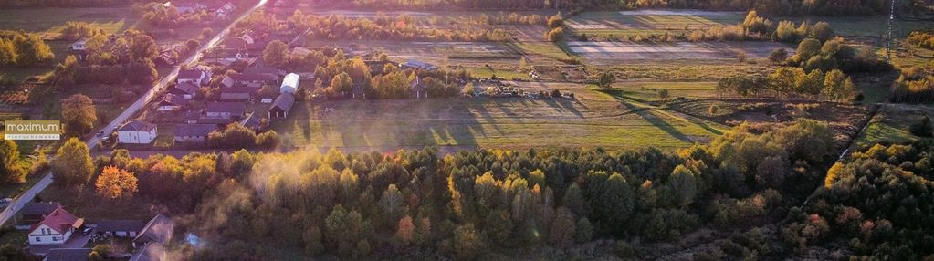 7 działek 10-12 ar z pięknym drzewostanem | bukowa