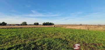 Działki budowlane w złotopolicach z wz + media