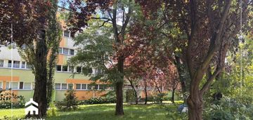 Mieszkanie dwupokojowe rozkładowe na parterze!