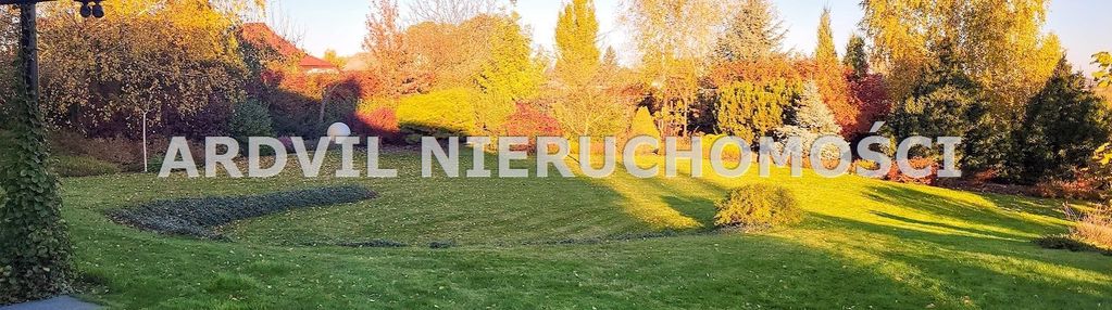 Uzbrojona grabówka ładna