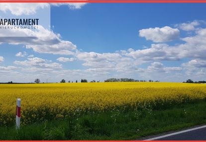 Działka - możliwość podziału! bory tucholskie!