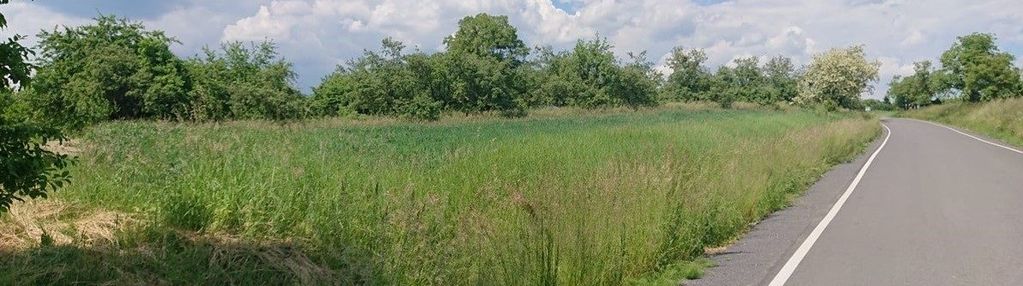 Liszki, czułów -duża  działka rolna