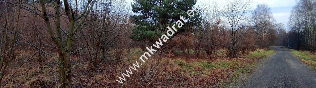 ⭐⭐⭐⭐  działka budowlana 1303 m budy grzybek ⭐⭐⭐⭐
