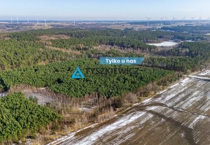 Twój prywatny las w sercu natury – kazimierz,