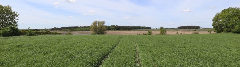 Działka na sprzedaż bracholin gm. wągrowiec