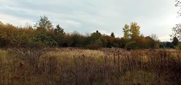 Działka pod osiedle domów