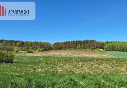 Działka 2500 m2 czernikowice przy lesie
