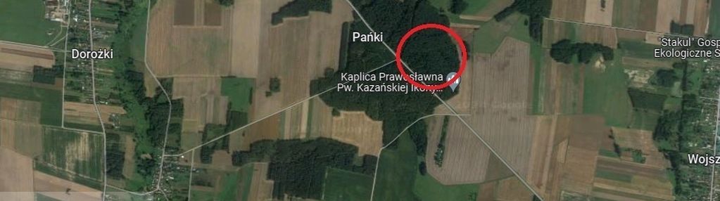 Działka leśna pańki 100-letnia sosna!!!