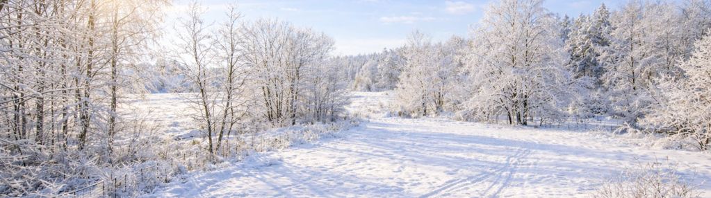 Owczarnia /działka budowlana /media /blisko lasu