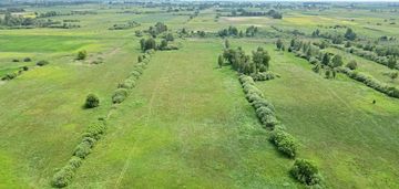 Piękny kawałek ziemi z sadem, okolica ppn