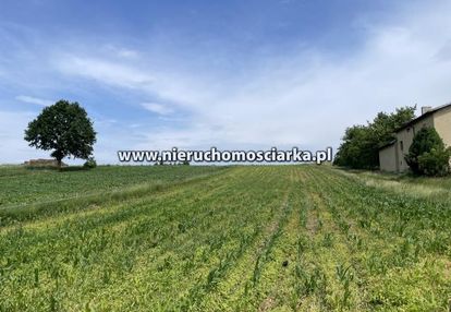 Duża działka budowlana mszana