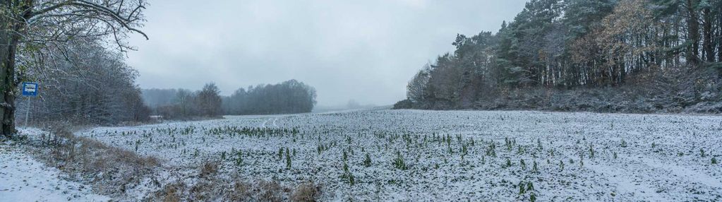 Duża działka pod korzystną inwestycję