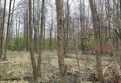 Usługi turystyki, rekreacji, sportu