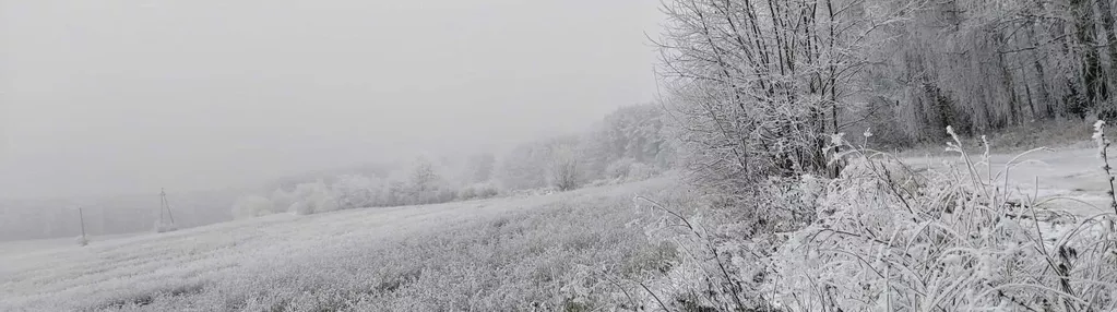 Działka na sprzedaż 1400m2