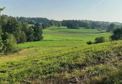 Działka rolna 3km od centrum Sierakowic