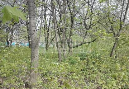 Działka w centrum piastowa