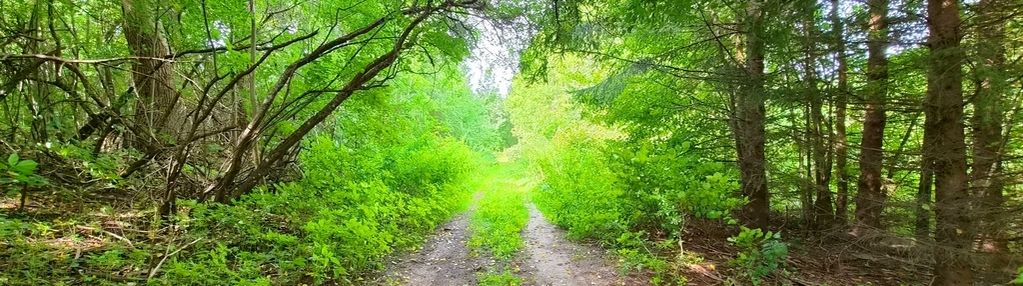 Działka budowlana z wz | warmia | pieszkowo