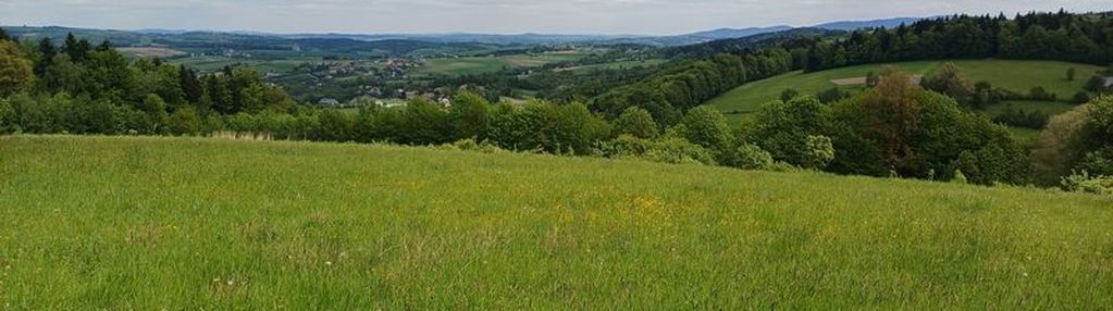 Działki budowlane mogilno