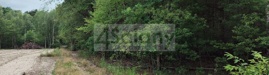 Działka w wólce w lesie, 600 metrów od puszczy