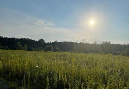 Na sprzedaż działka budowlana blisko lasu.