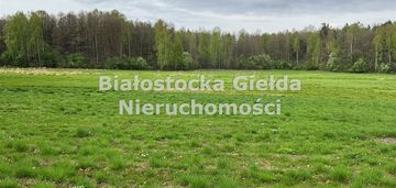 ###działka 9300m2//piliki//spokojna okolica###