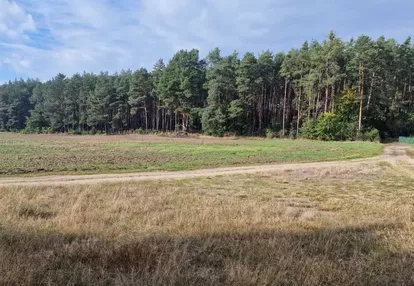 Działka na sprzedaż 1000m2