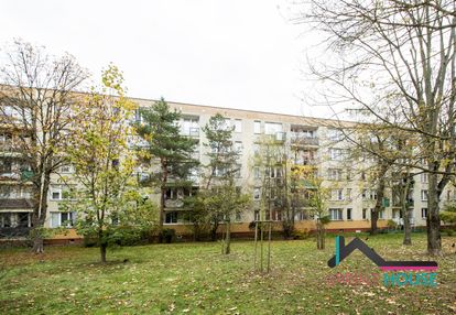 Tak dla zwierząt, 3 oddzielne pok, widna kuchnia