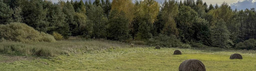 Widokowa działka na pogórzu przemysko-dynowskim