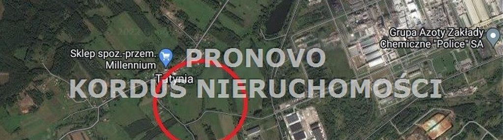 Działka 4,5ha tatynia z możliwością zabudowy