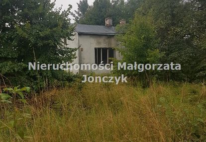 Działka szadek osiny