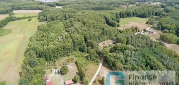 Działka położona w zielonej okolicy, nowe byliny