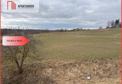 Działki z potencjałem - liniewskie góry