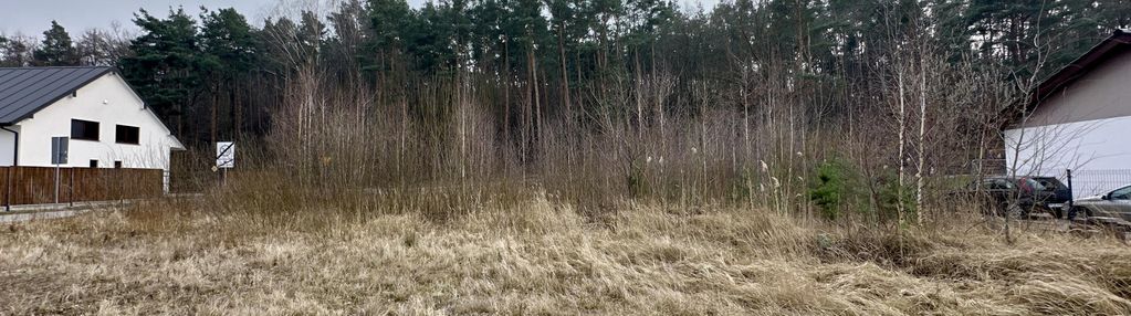 Działki między lasem a jeziorem