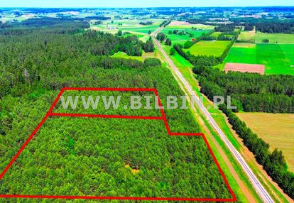 Działka leśna w nowej wsi.