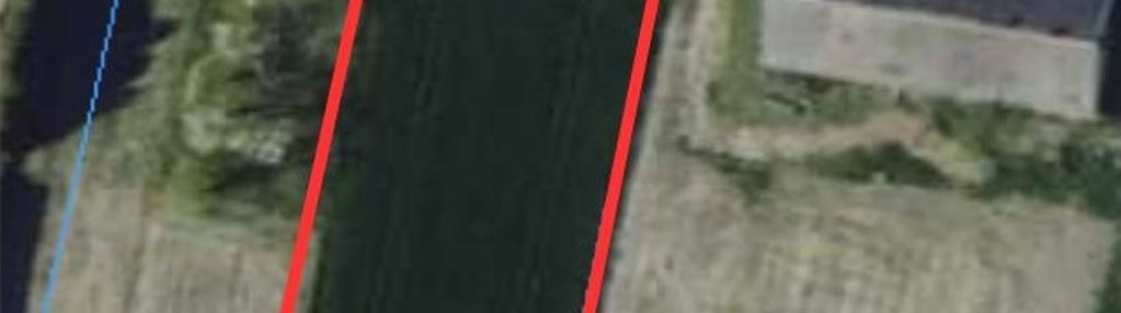 Siedlisko z potencjałem – modrzewek 18