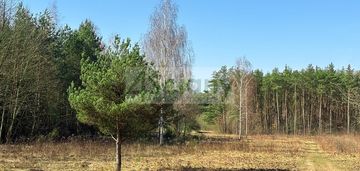 Duża działka z możliwością podziału w ojrzanowie
