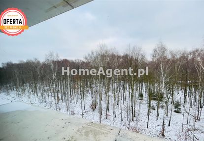 Strefa hub gamingowa nikisz inwestycyna kawalerka