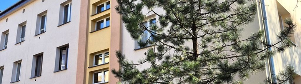 Mieszkanie na ul. mickiewicza