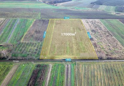 Działka rolna 1,7 ha, czersk, gm. góra kalwaria