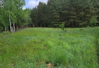 Działka siedliskowa na sprzedaż w antoniewie