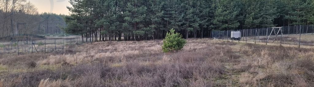 Działka blisko lasu z wydanymi warunkami zabudowy