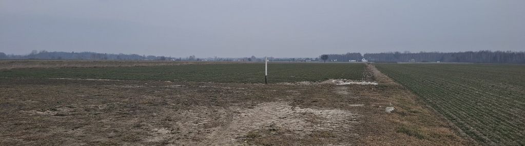 Działka budowlana 1000 m² w boroszkowie