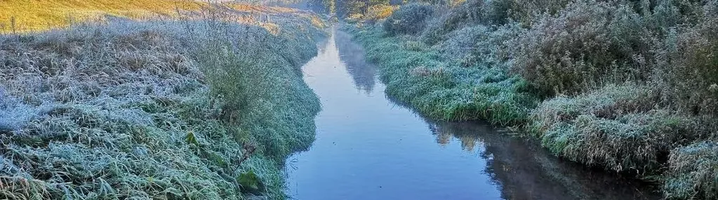 Działka na sprzedaż 1000m2