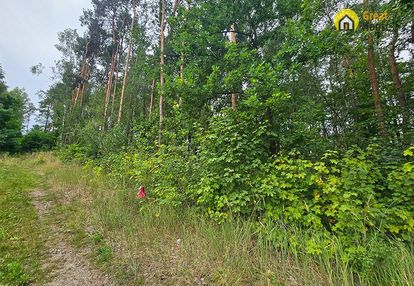 Wyjątkowa działka leśna w strzegomku - 1,0069 ha
