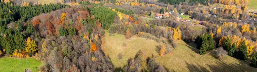 Działki w otoczeniu ciszy i spokoju