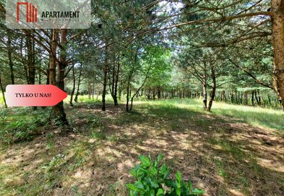 Działki budowlane w lesie blisko poznania!